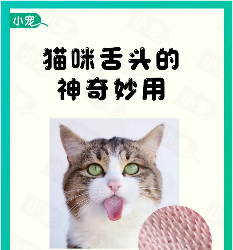 猫的多功能之谜（探索猫咪神奇的能力及其意义）