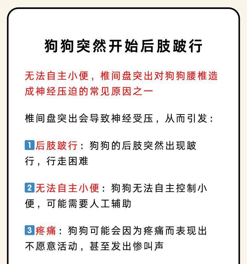 宠物多久不排尿会有问题吗？（探究宠物长时间不排尿的影响及预防措施）