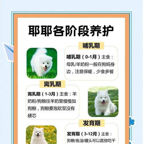 了解月经周期及经期的关键信息（掌握月经周期和经期长度，了解女性身体健康的重要性）