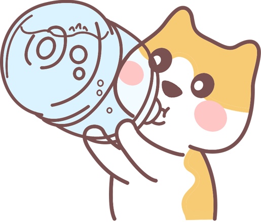 猫眼屎多流眼泪用什么药？