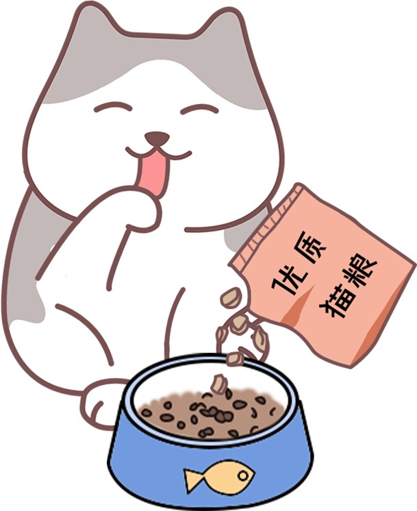 猫咪泪痕严重怎么办？