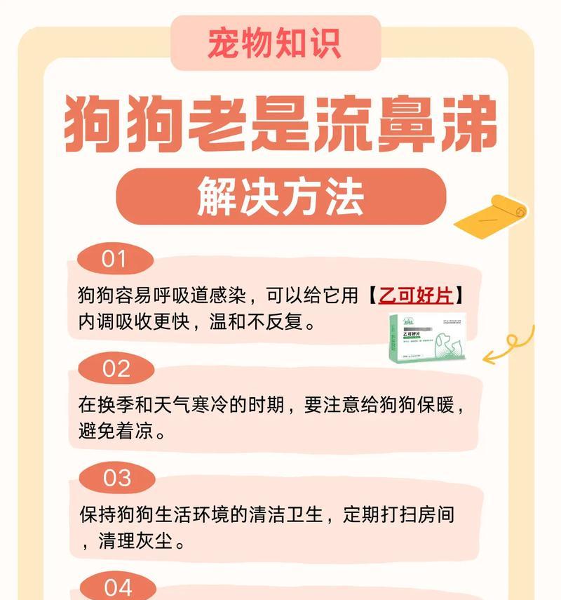 狗狗流鼻涕的症状、原因和治疗方法解析（了解狗狗流鼻涕的相关问题，助您有效应对）