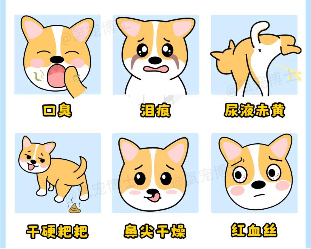 狗狗上火有眼屎吃什么药？