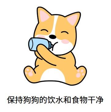 狗狗口臭怎么办？这些方法超有效！