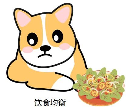 狗狗口腔溃疡吃什么药好得快？