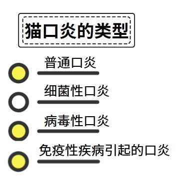 高效治疗猫口炎，这些药物是关键