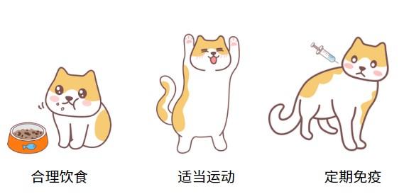 拯救爱猫！猫鼻支传染应对全攻略