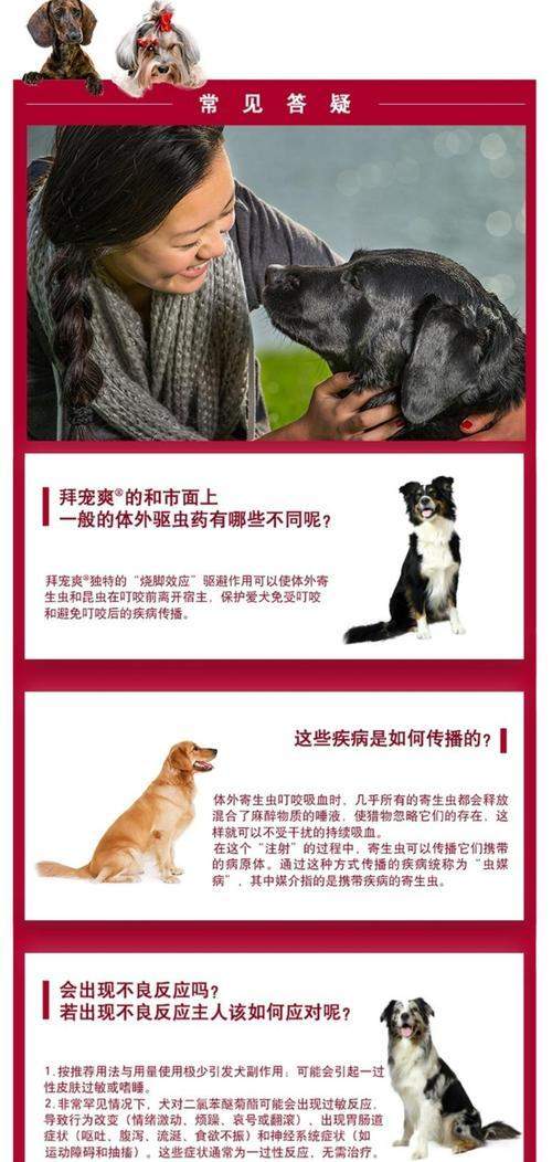 狗狗体外驱虫后适合多久洗脚？（正确护理狗狗足部，关注健康与幸福）