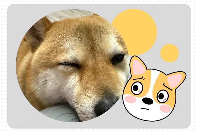 狗狗眼睛发红睁不开是怎么回事？