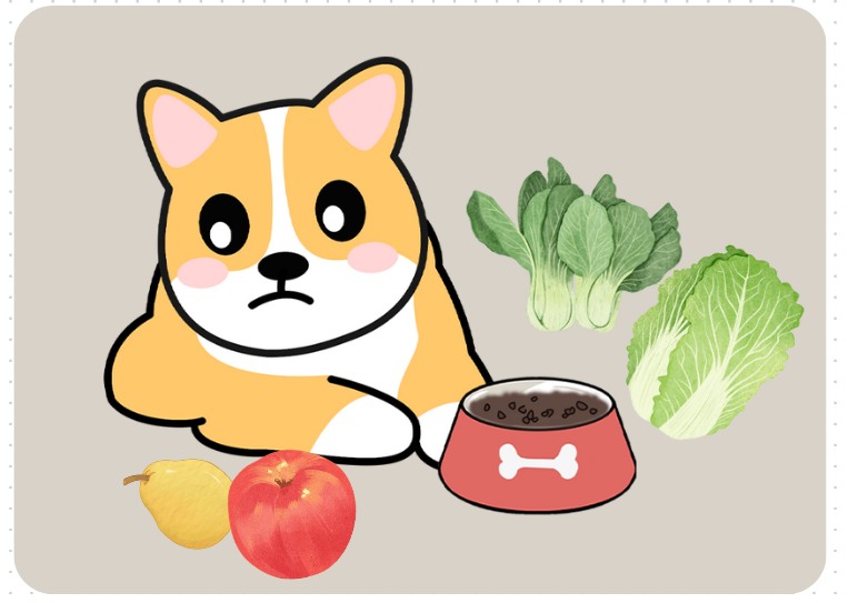 狗狗泪痕严重怎么治？