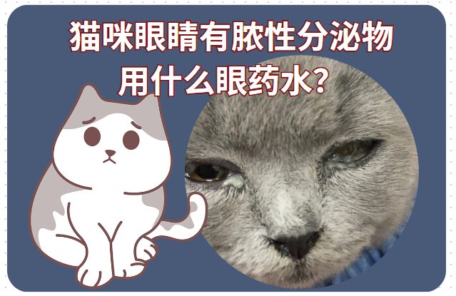 猫咪眼睛有脓性分泌物用什么眼药水？