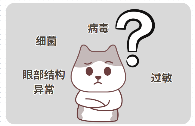 小猫眼睛睁不开有脓状分泌物