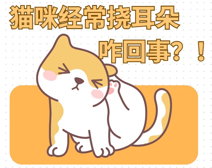 猫咪经常挠耳朵怎么回事？
