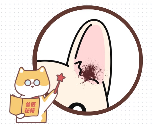 狗狗耳朵里有咖啡色泥状物是怎么回事？