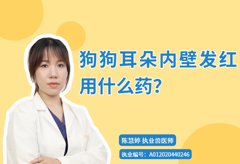 狗狗耳朵内壁发红用什么药？
