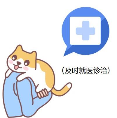 猫鼻支病毒：猫咪间的隐形杀手，您知道吗？