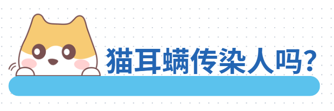 猫耳螨会传染人吗？