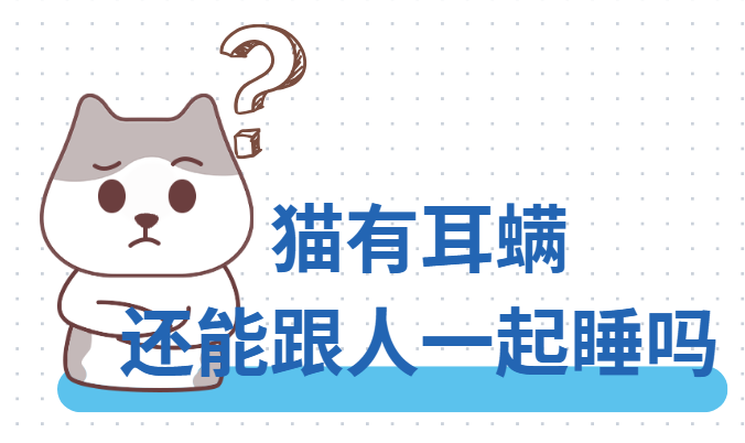 猫有耳螨还能跟人睡吗？
