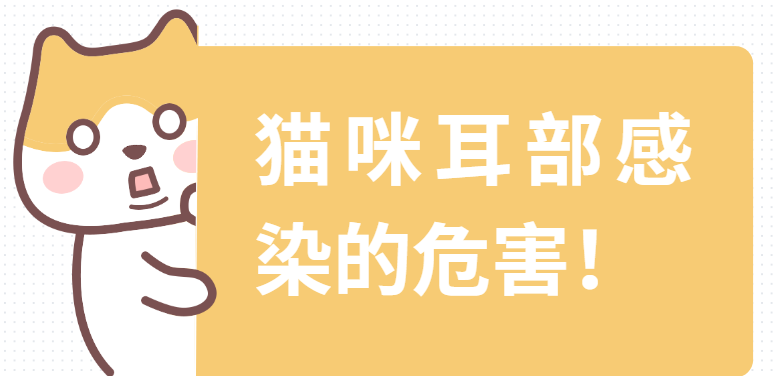 猫咪耳朵里流了很多脓