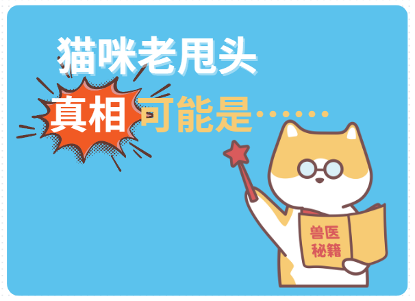 猫咪老甩头是怎么回事？