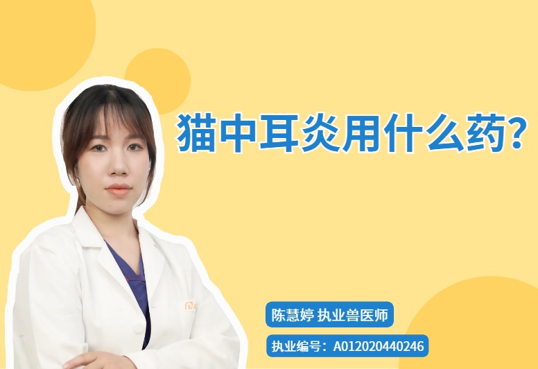 猫中耳炎用什么药？