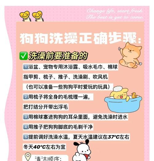 狗狗怀孕多久可以洗澡？（关键时期的护理与注意事项）