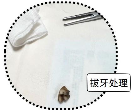 小狗牙龈发炎怎么办？这些方法轻松搞定！