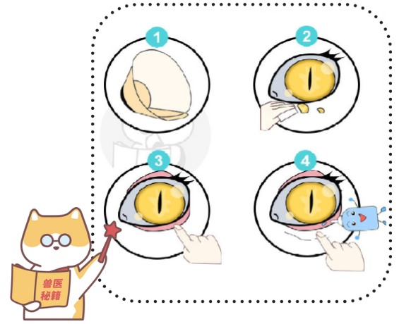 猫咪眼睛发炎用什么药？