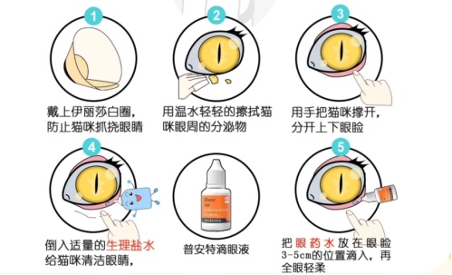 猫的眼睛睁不开有眼屎用什么药？