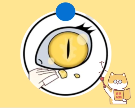 泰迪眼睛流泪怎么治疗？