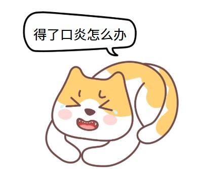 猫咪口腔炎症的正确治疗药物