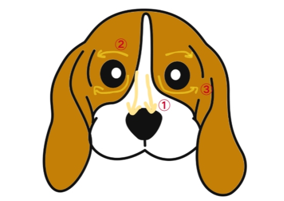 小狗有泪痕用什么药？