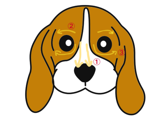 狗狗泪痕严重怎么去除？