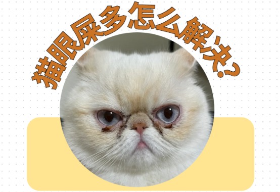 猫眼屎多怎么解决？