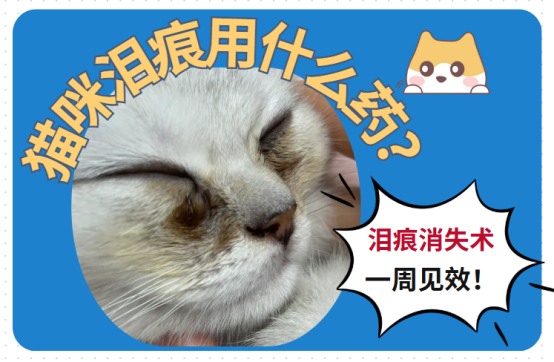 猫咪有泪痕用什么药好？