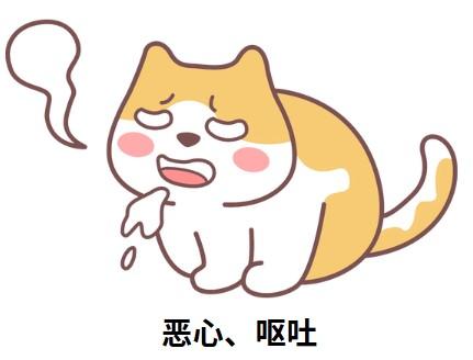 口臭不再是问题!猫咪清新口气指南