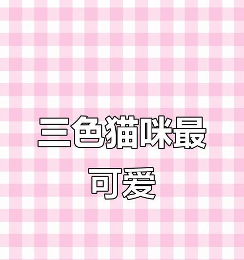 探秘龙猫世界的丰富颜色（了解龙猫的多彩外貌与色彩变化）