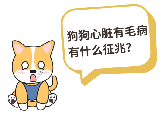 狗狗心脏有毛病？这几个征兆你必须知道！