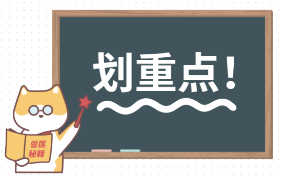 狗狗眼睛红用什么眼药水?