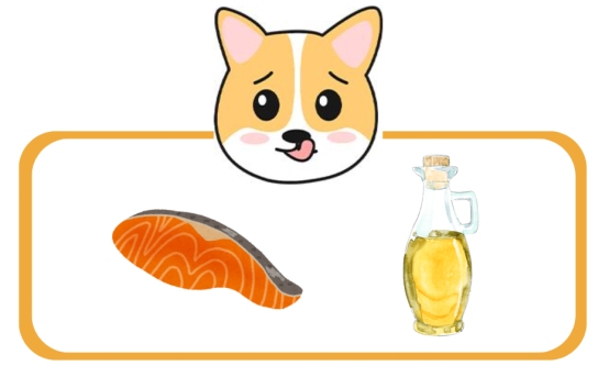 狗狗吃什么对心脏好?