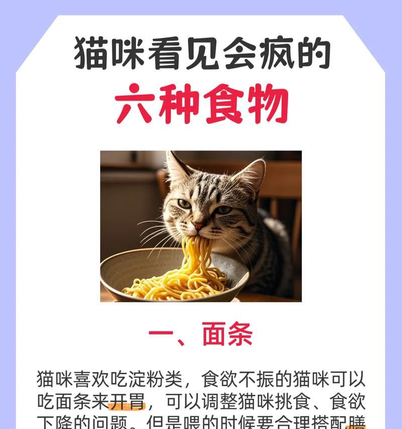 猫咪毛发养护秘籍（掌握这些方法，让猫咪毛发亮丽无比！）