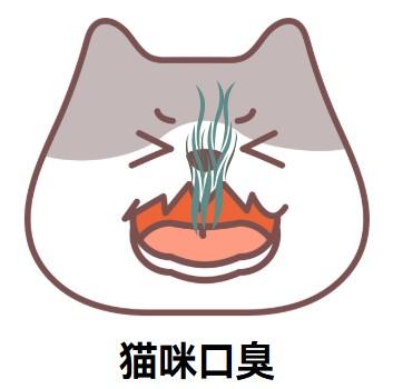 口臭不再是问题!猫咪清新口气指南