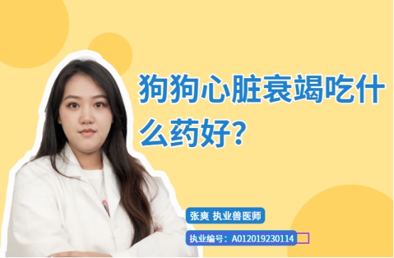 【宠医科普】狗狗心脏衰竭吃什么药好？