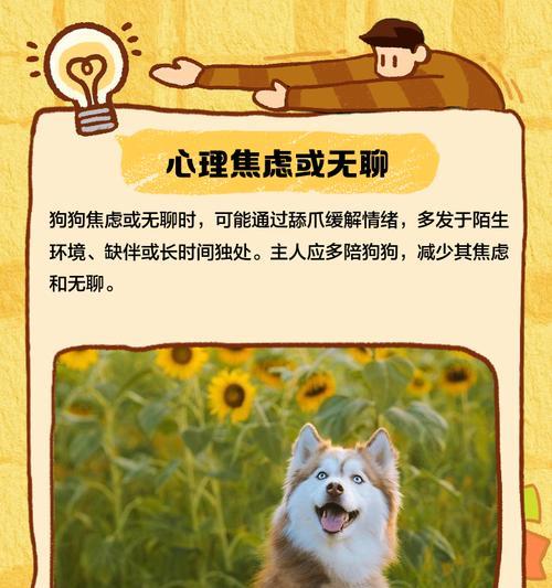 为什么斑点狗总是舔爪子？（探究斑点狗舔爪子的原因和行为习惯）
