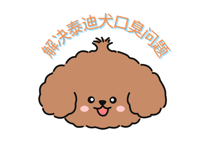 泰迪犬牙龈烂了有异味？简单几步解决口腔困扰！