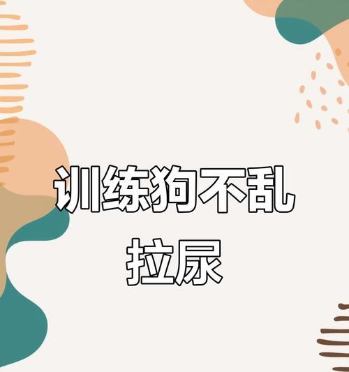狗狗乱尿怎么办？（解决宠物乱尿问题的有效方法）
