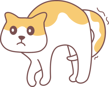 猫的心脏跳得很快呼吸很急促怎么回事？