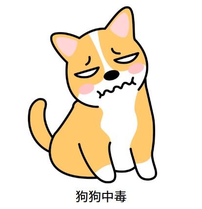 狗狗嘴巴流粘稠液体还伴有白沫?赶紧重视起来!