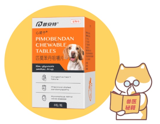 狗狗心衰