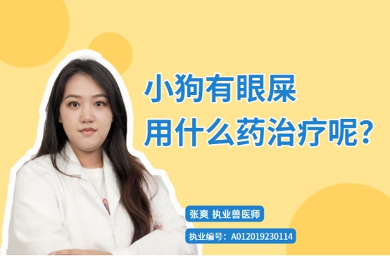 【宠医科普】小狗有眼屎用什么药治疗呢？